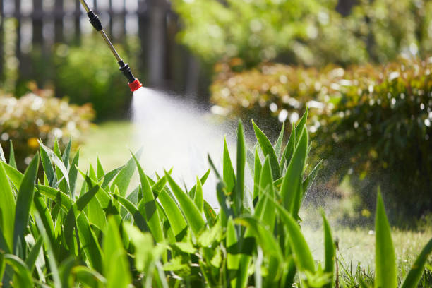 24/7 Emergency Ant Control experts in Long Beach, CA