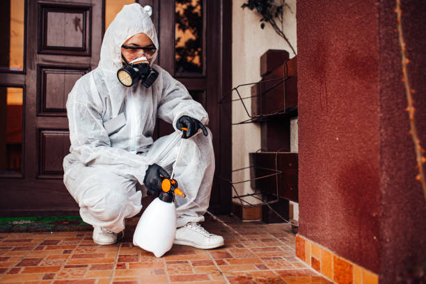Reliable Ant Control contractor in Long Beach, CA by Show Me Pest Control